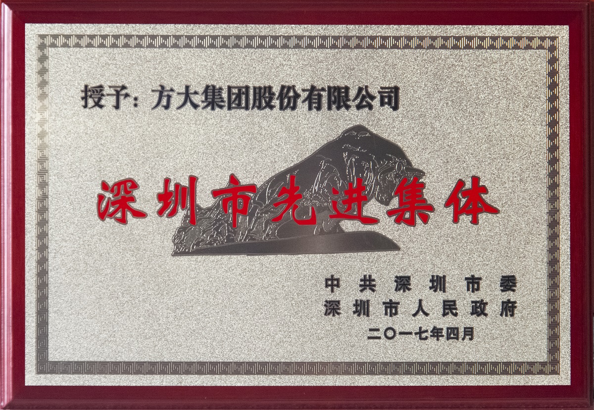 深圳市先进整体